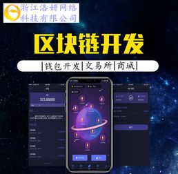 浙江杭州洛妍網絡軟件開發 數字化浪潮中的創新實踐與前景展望